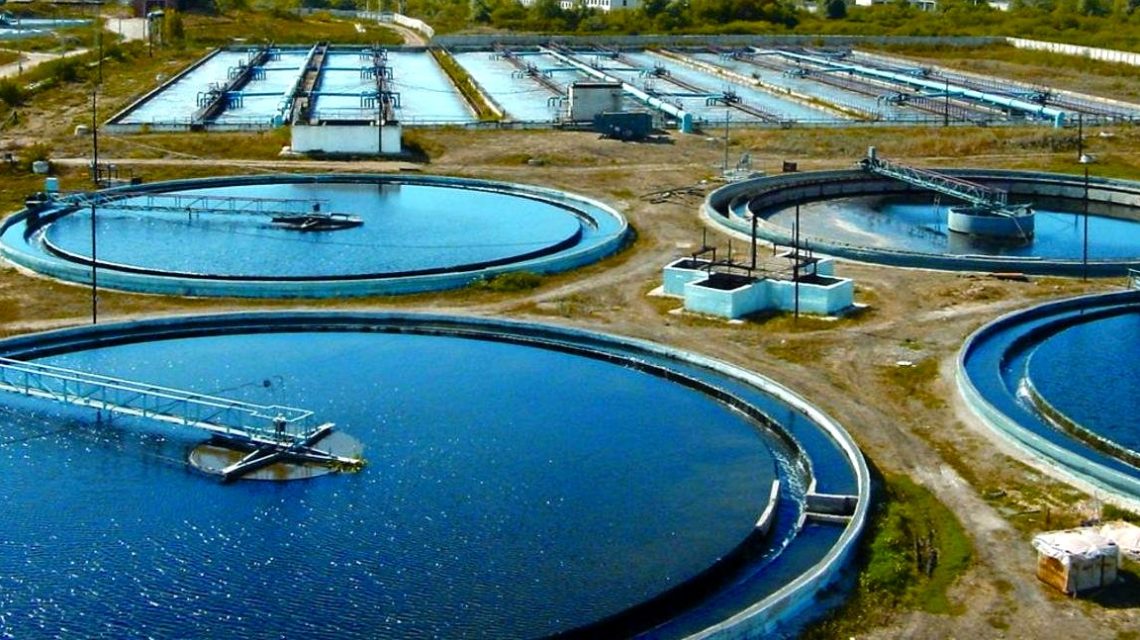 Valorization of Excess Activated Sludge: Utilizing Plasma-Activated Water for Safe Agricultural Application